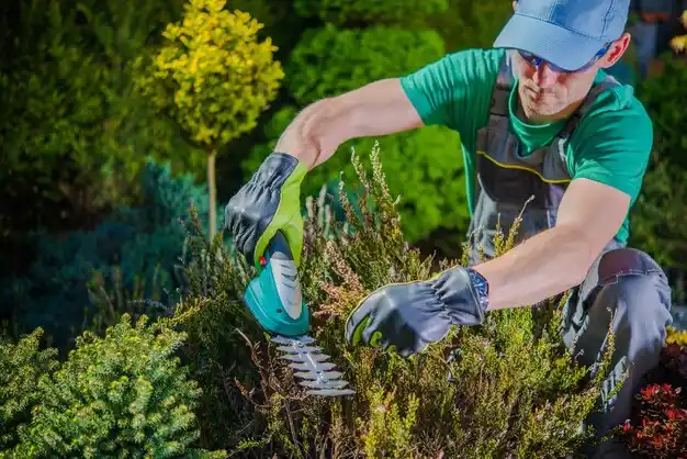 landscaping services Munroe Falls